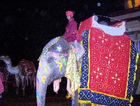 jaipur entertainment